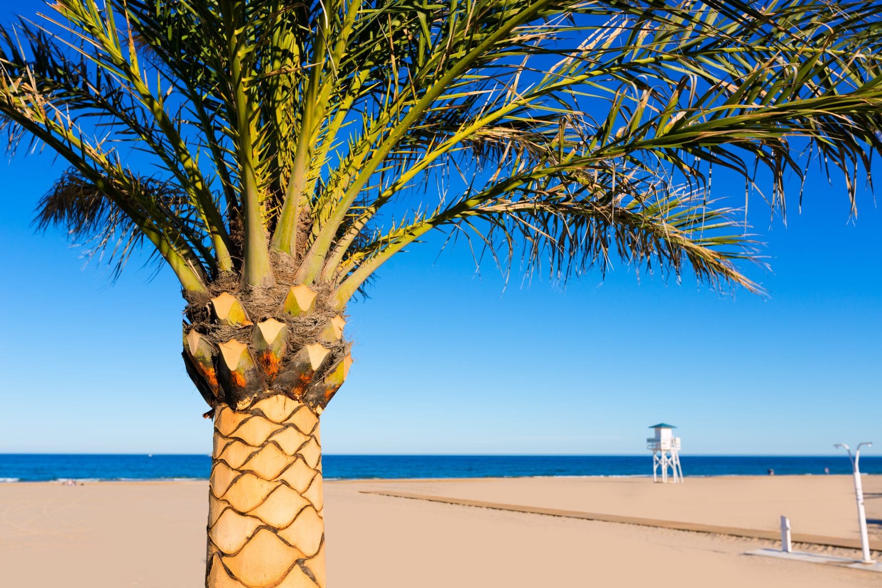 Adelanta el verano