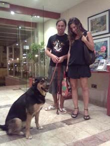 Perro Grande en Hotel Gandia