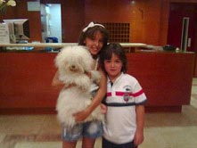 Perro Peludo en Hotel Gandia