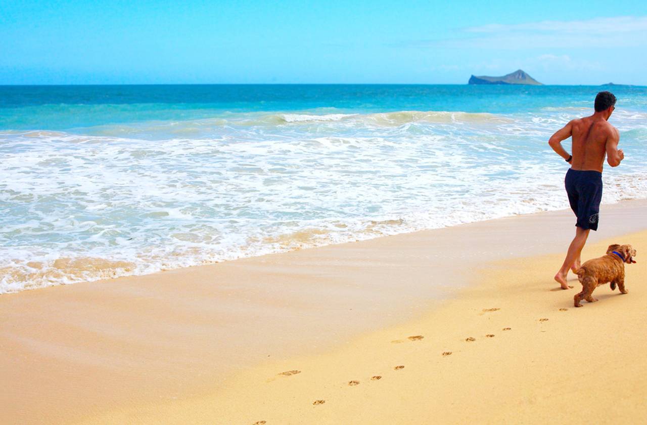 Oferta Hotel Gandia Playa
